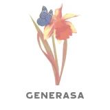 generasa